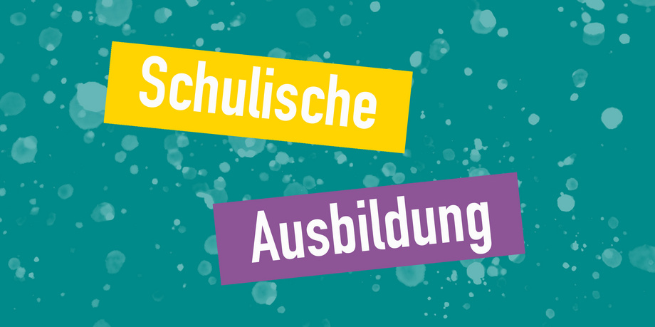 Schriftzug Schulische Ausbildung